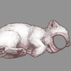 Achromatic Cyclopia!